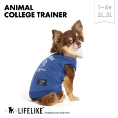 【アニマルカレッジトレーナー1-4号2L-3L／シマウマ】犬 服 アニマル柄 トレーナー 小型犬 子犬 パピー チワワ トイプー ダックス ロング丈 犬服 ドッグウェア 犬の服 ペット服 洋服 ペット用品 お散歩［ライフライク LIFELIKE公式］