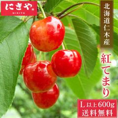 北海道から産地直送 さくらんぼ 紅てまり 600g 規格Lサイズ以上 にきや サクランボ 北海道 仁木産 産直 北海道産 送料無料 夏ギフト お中元 余市 フルーツ ギフト プレゼント 夏ギフト お中元【冷蔵】