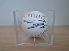 KATY PERRY ケイティペリー　直筆サインカード 直筆サイン入り写真 ケイティ・ペリー 歌手/フレーム別/SA鑑定済