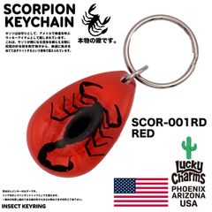 USA ARIZONA SCORPION DROP KEYCHAIN 蠍 サソリ スコーピオン お守り キーホルダー バイカー 幸運 : SCOR-001RD