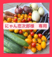 にゃん恋次郎様　専用