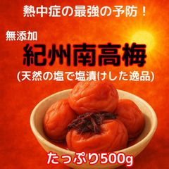 高級 昔ながら  紀州南高梅 500g 梅 無添加 和歌山 紀州 白梅