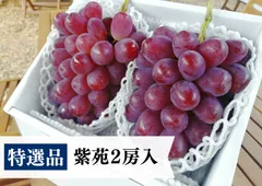 2024年最新】甘園房の人気アイテム - メルカリ