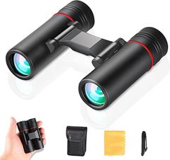 Item thumbnail for item 2e14b7cf-490b-4daf-b97c-33c89d580587