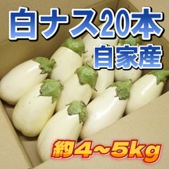 A-STYLE　自家産　白ナス　トルコナス20本　とろーり旨なす「ショップアカウントではゆうゆうメルカリ便で送れないため沖縄への発送は出来かねます、個人アカウントよりご購入頂けましたら発送可能ですので出品いたしましたらそちらよりよろしくお願いいたします。」