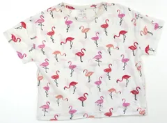 【ザラ/ZARA】Tシャツ・カットソー 150サイズ 女の子【子供服・ベビー服】（1817542）