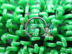 CRF250R CRF250X ピストンピンクリップ 在庫有 即納 ホンダ 純正 新品 バイク 部品 10mm 車検 Genuine ズーマー CR125R タクト kH