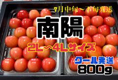 最終　61 予約販売　北海道産　さくらんぼ　南陽　800g