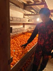 熊本みかん🍊みやもっちゃんみかん🍊