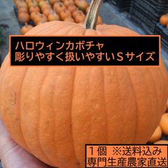 ハロウィン ジャックオーランタン用かぼちゃ １個 Sサイズ1kg台 カボチャ専門農家農場直送