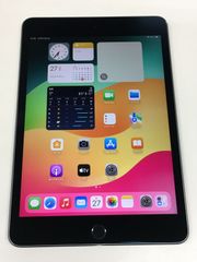 iPad mini (第５世代)  256GB  Wi-Fi モデル スペースグレイ