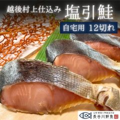 塩引き鮭 越後村上仕込み 【自宅用12切れ】塩引鮭 切り身 鮭 冷凍 新潟県 村上