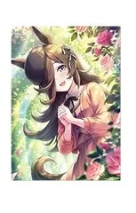 2025年最新】ライスシャワー イラストボードの人気アイテム