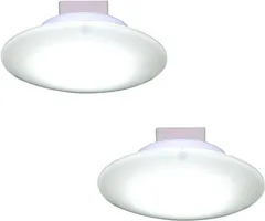 スワン電器 薄型LEDミニシーリングライト 昼光色相当 2個セット 日本製 YC