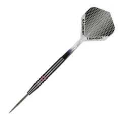 【新品】 TRiNiDAD PRO HUGO STEEL Hugo Leung 選手モデル トリニダード プロ ヒューゴ ダーツ バレル スティール 0のサムネイル