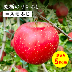 究極のサンふじ！11月収穫「コスモふじ5キロ箱訳あり品」長野県産 安曇野 信州産