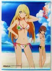 [중고] 태피스트리 식봉조기도&미사카 미금 애니메이션 일러스트 신작 B3 태피스트리 [BD/DVD 어떤 과학의 초전자포 S 제1~4권] 게이머즈 한정 연동 특전