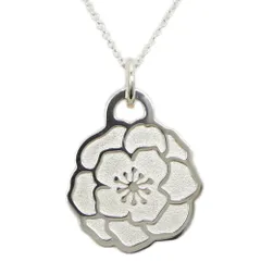 ティファニー　ペンダントトップ　名古屋ウィメンズマラソン2014.15.17 2025年最新】名古屋ウィメンズマラソン ティファニーの人気