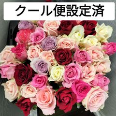 大輪バラB級品４５センチ40本切り花生花