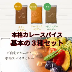 【D'sTs 直営店】 YouTubeで話題のカレースパイス 100g 基本の3種セット ～ ターメリック クミンパウダー コリアンダーパウダー ～ カレー粉 無添加 カレーパウダー カレースパイスパウダー スパイスカレー 唐辛子 カレー スパイス DsTsのサムネイル