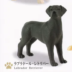 2024年最新】THE_DOGSの人気アイテム - メルカリ