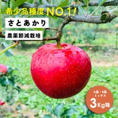 幻の林檎 「さとあかり3キロ箱A品B品ミックス」減農薬 農林水産大臣賞 りんご 長野県産 安曇野 信州産 産地直送 送料無料 3キロ 箱使用 果物 フルーツ 鮮度抜群 産地直送