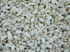 北海道の軽石【 蝦夷砂】  5L　蘭 盆栽 山野草