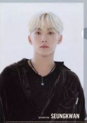 [중고] 클리어 파일 수광 A4 클리어 파일 [플랫 가샤폰 SVT 클리어 파일 컬렉션 vol.2 From PLEDIS ENTERTAINMENT SEVENTEEN]