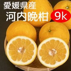【愛媛県産】訳あり河内晩柑　9ｋｇ（送料無料）