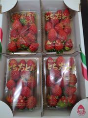 とちおとめ苺　Lサイズ　４パック