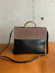 Reena様ロエベベラスケスグッチショルダー2点セット