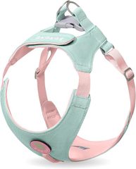 Item thumbnail for item 026a44ea-5a81-4ec6-8d68-38dea489613c