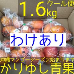 ハ*ー様 沖縄県産 摘果マンゴー 青マンゴー 20kg オークション3 ハ*ー様 沖縄県産 摘果マンゴー 青マンゴー 20kg オークション3 ハ*