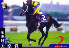 エルコンドルパサー：サンクルー大賞「サラブレッドカード 99年