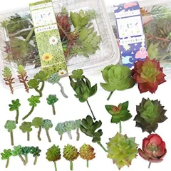 2024年最新】寄せ植え リースの人気アイテム - メルカリ