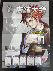 MTG ファイナルファンタジー foil 光沢 FF ポスター ティナ