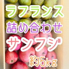 最後の1箱！！お得な詰め合わせSET！ラフランス　サンフジ　約5kg 家庭用　りんご　洋梨　長野県産　Apple