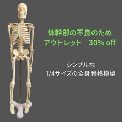 2024年最新】人体模型 骨格 等身大の人気アイテム - メルカリ