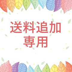 送料追加専用