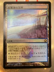 2025年最新】金属海の沿岸 foilの人気アイテム - メルカリ