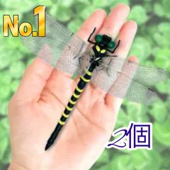 昆虫標本　ニホンミツバチ　巣盤　1番　2590g 昆虫標本 ニホンミツバチ 巣盤 1番 2590g