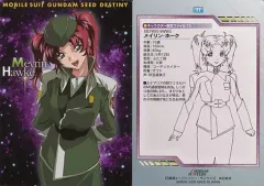 2025年最新】メイリンホークの人気アイテム - メルカリ