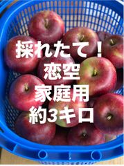 青森県産 りんご  恋空約3キロ家庭用