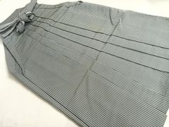 Item thumbnail for item 78a71f2f-8e18-4ea2-a846-f394e2d87fe2