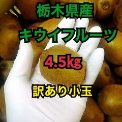 終了‼️ 追熟完熟 小玉 栃木県産ハネ出しキウイフルーツ 4.5kg