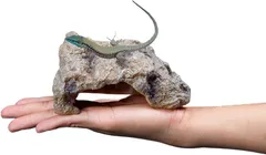 Archnote 爬虫類 レオパ シェルター トカゲ カナヘビ 亀 ロックシェルター 爬虫類シェルター 岩 隠れ家(ブラウン,  S)のサムネイル