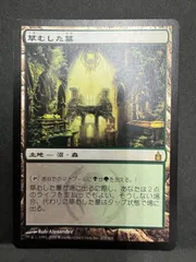 草むした墓/Overgrown Tomb en_68f8294009.jpg