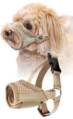 Item thumbnail for item 5aff2ade-4ff5-4aba-a115-c05021dc6d99