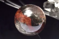 ガーデンスフィア 2025年最新】ガーデンスフィアの人気アイテム - メルカリ