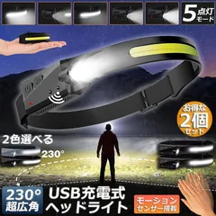 ヘッドライト 2個セット 充電式 USB LEDデュアル光源 ヘッドランプ 5種点灯モード 70g超軽量 高輝度 アウトドア用ヘッドライト IPX4防水 アウトドア